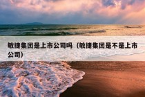 敏捷集团是上市公司吗（敏捷集团是不是上市公司）