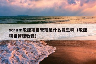 scrum敏捷项目管理是什么意思啊（敏捷项目管理教程）