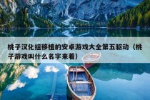 桃子汉化组移植的安卓游戏大全第五驱动（桃子游戏叫什么名字来着）