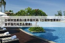 口袋妖怪黑白2金手指代码（口袋妖怪黑白2金手指代码怎么使用）