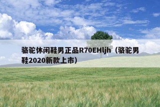 骆驼休闲鞋男正品R70EHljh（骆驼男鞋2020新款上市）