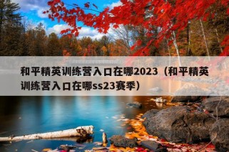 和平精英训练营入口在哪2023（和平精英训练营入口在哪ss23赛季）