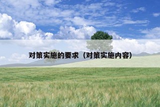 对策实施的要求（对策实施内容）