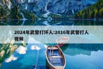 2024年武警打坏人:2016年武警打人视频