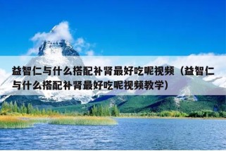 益智仁与什么搭配补肾最好吃呢视频（益智仁与什么搭配补肾最好吃呢视频教学）