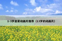 1-3岁启蒙动画片推荐（13岁的动画片）