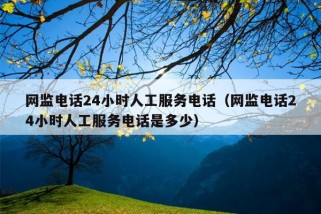 网监电话24小时人工服务电话（网监电话24小时人工服务电话是多少）