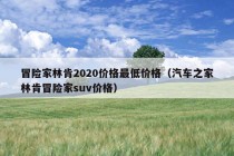 冒险家林肯2020价格最低价格（汽车之家林肯冒险家suv价格）