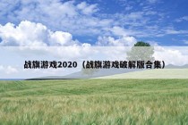 战旗游戏2020（战旗游戏破解版合集）