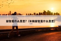 益智是什么意思?（补脑益智是什么意思）