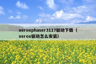 xeroxphaser3117驱动下载（xerox驱动怎么安装）