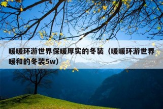 暖暖环游世界保暖厚实的冬装（暖暖环游世界暖和的冬装5w）