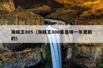 海贼王805（海贼王800集是哪一年更新的）