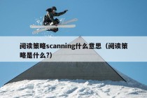 阅读策略scanning什么意思（阅读策略是什么?）