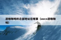 游咖咖啡的总部地址在哪里（auco游咖咖啡）