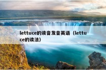 lettuce的读音发音英语（lettuce的读法）