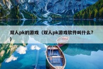 双人pk的游戏（双人pk游戏软件叫什么?）