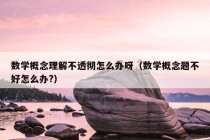 数学概念理解不透彻怎么办呀（数学概念题不好怎么办?）