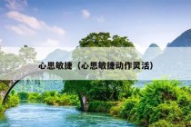 心思敏捷（心思敏捷动作灵活）