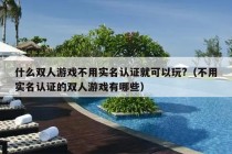 什么双人游戏不用实名认证就可以玩?（不用实名认证的双人游戏有哪些）