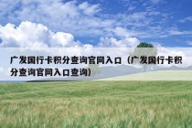 广发国行卡积分查询官网入口（广发国行卡积分查询官网入口查询）