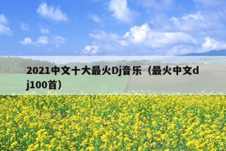 2021中文十大最火Dj音乐（最火中文dj100首）