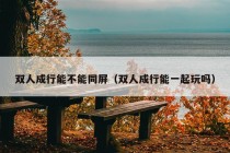 双人成行能不能同屏（双人成行能一起玩吗）