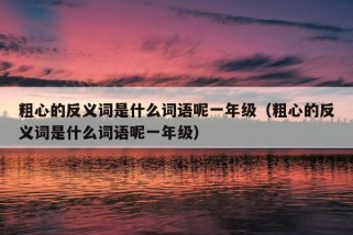 粗心的反义词是什么词语呢一年级（粗心的反义词是什么词语呢一年级）