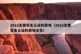 2022无需实名认证的游戏（2022无需实名认证的游戏女生）