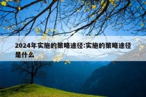 2024年实施的策略途径:实施的策略途径是什么