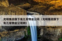 光明集团旗下有几家物业公司（光明集团旗下有几家物业公司啊）