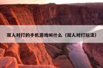 双人对打的手机游戏叫什么（双人对打玩法）