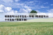 敏捷造句10个字左右一年级（敏捷造句10个字左右一年级下册）