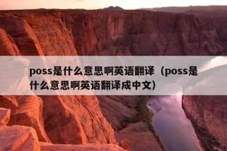 poss是什么意思啊英语翻译（poss是什么意思啊英语翻译成中文）