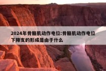 2024年骨骼肌动作电位:骨骼肌动作电位下降支的形成是由于什么