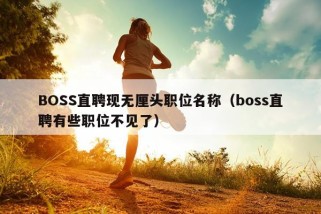 BOSS直聘现无厘头职位名称（boss直聘有些职位不见了）