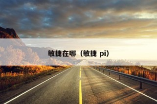 敏捷在哪（敏捷 pi）