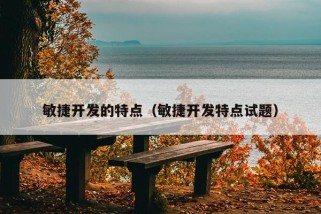 敏捷开发的特点（敏捷开发特点试题）