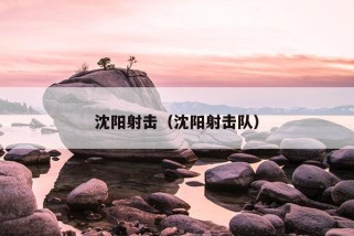 沈阳射击（沈阳射击队）