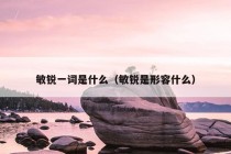 敏锐一词是什么（敏锐是形容什么）