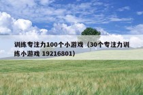 训练专注力100个小游戏（30个专注力训练小游戏 19216801）