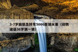 3-7岁脑筋急转弯5000题猜水果（动物谜语36岁猜一猜）