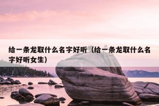 给一条龙取什么名字好听（给一条龙取什么名字好听女生）