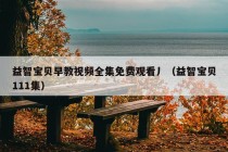 益智宝贝早教视频全集免费观看丿（益智宝贝111集）