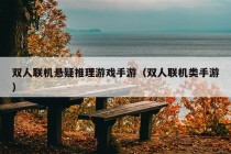 双人联机悬疑推理游戏手游（双人联机类手游）