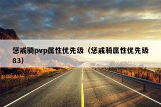 惩戒骑pvp属性优先级（惩戒骑属性优先级83）