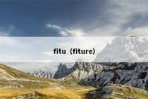 fitu（fiture）