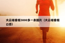 大云端香烟3000多一条图片（大云端香烟口感）