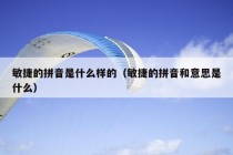 敏捷的拼音是什么样的（敏捷的拼音和意思是什么）