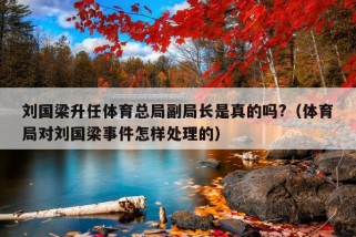 刘国梁升任体育总局副局长是真的吗?（体育局对刘国梁事件怎样处理的）